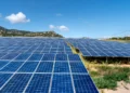 GAIL to Invest ₹3,800 Crore in 700 MW Solar Projects Across India