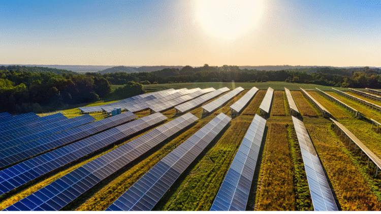Top 10 Solar Power Plants in India Based on Capacity (2026)